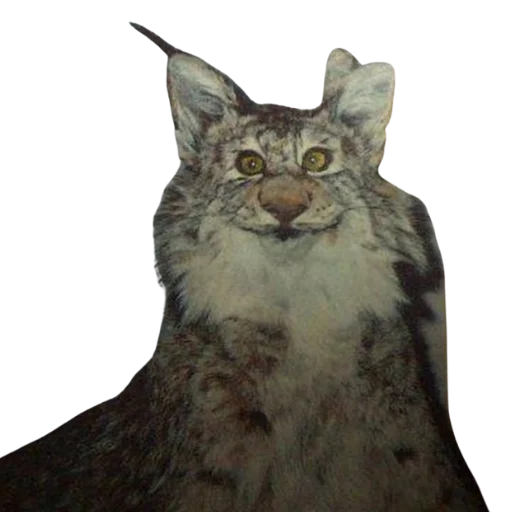 Эмодзи Taxidermy