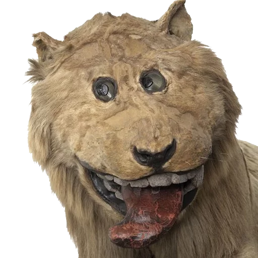 Эмодзи Texiderpy!