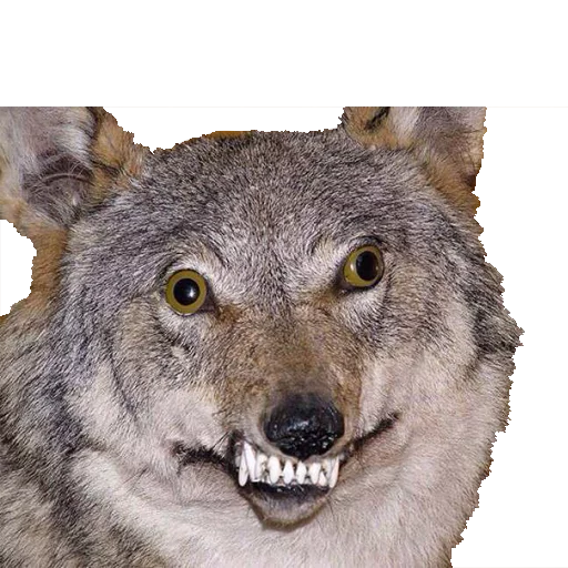 Эмодзи Texiderpy!