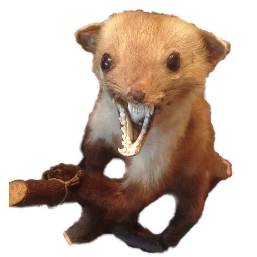 Эмодзи Texiderpy!