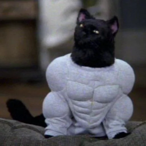 Эмодзи Cat Salem