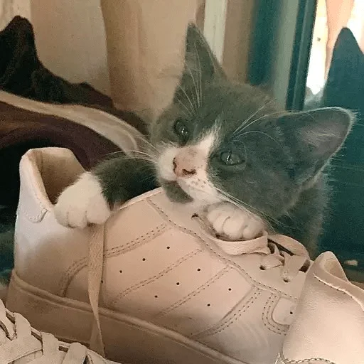 Эмодзи Тефтель