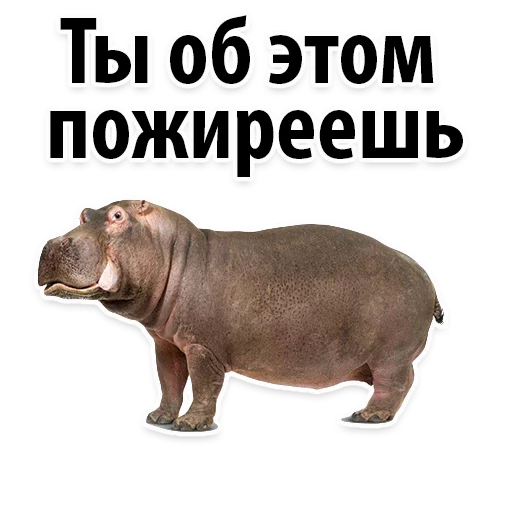 Эмодзи Молодёжный сленг