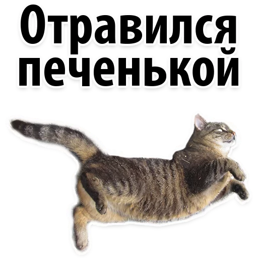 Эмодзи Молодёжный сленг