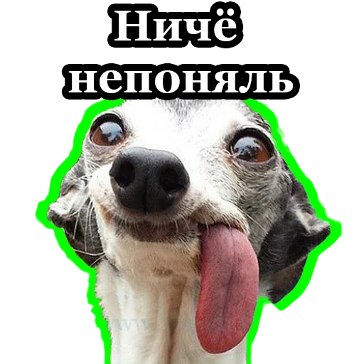 Эмодзи BultStick