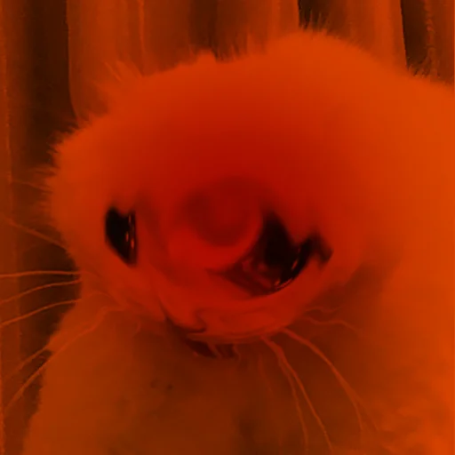 Эмодзи The crying cats