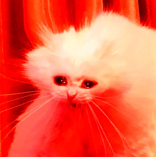 Эмодзи The crying cats