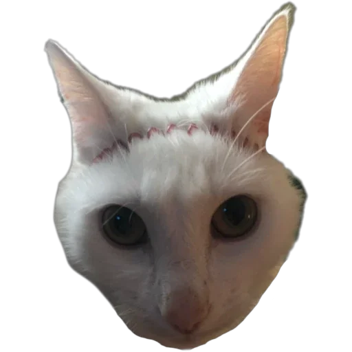 Эмодзи Bagduns Thomas