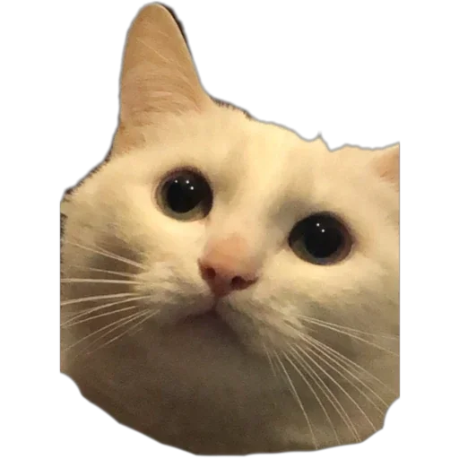 Эмодзи Bagduns Thomas