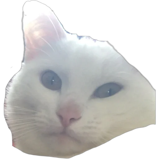 Эмодзи Bagduns Thomas