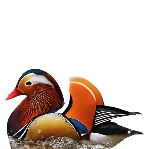 Эмодзи Three hundred ducks
