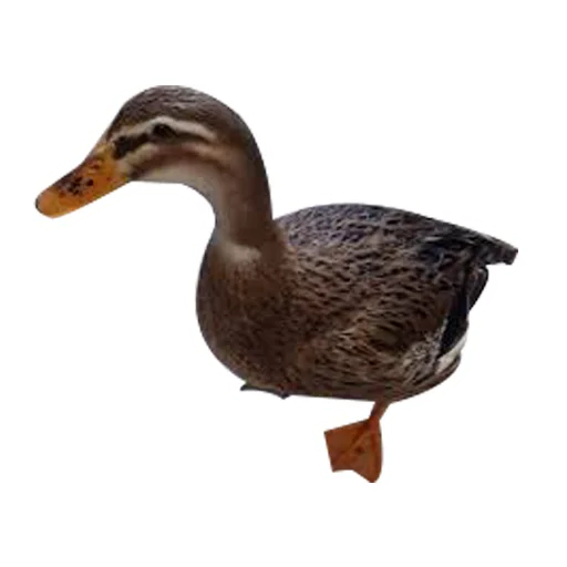 Эмодзи Three hundred ducks