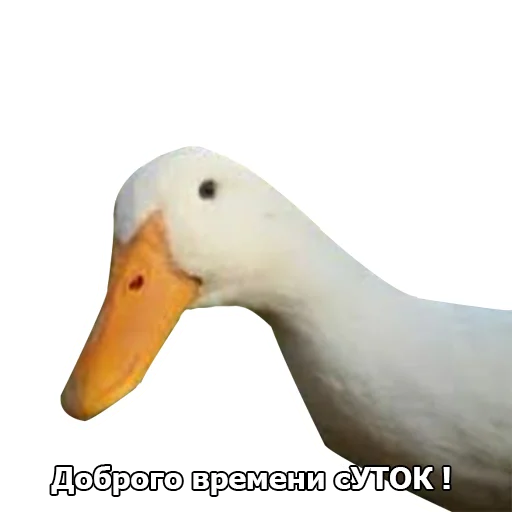 Эмодзи Three hundred ducks