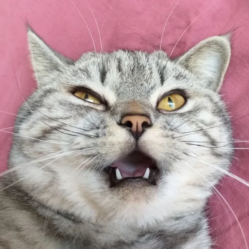 Эмодзи Тифаня