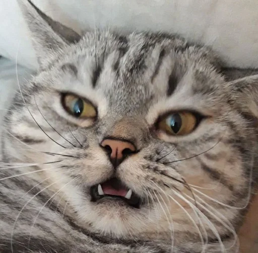 Эмодзи Тифаня