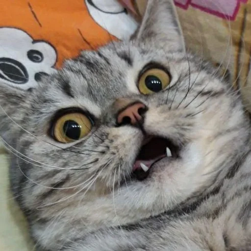 Эмодзи Тифаня