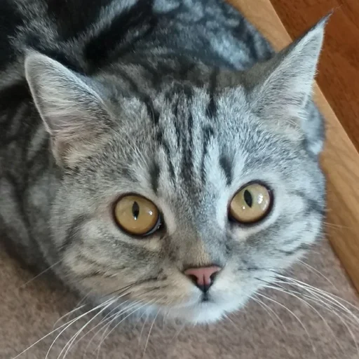 Эмодзи Тифаня