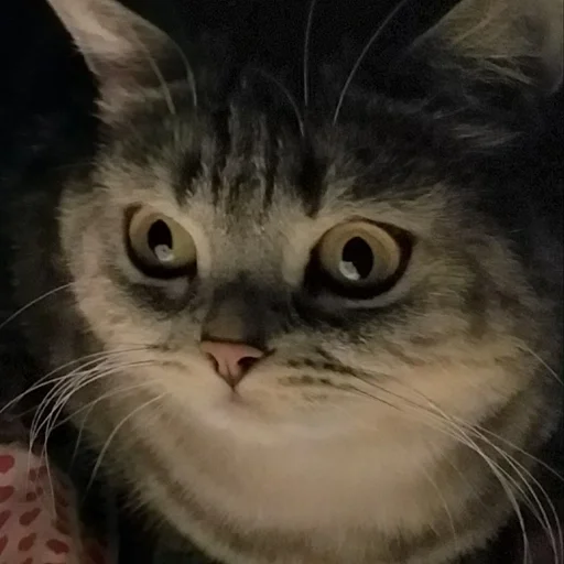 Эмодзи Тифаня