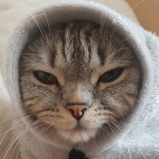 Эмодзи Тифаня