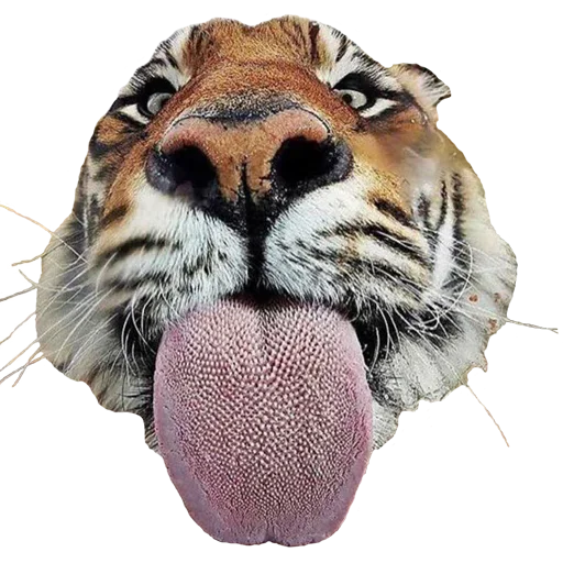 Эмодзи Tiger Male