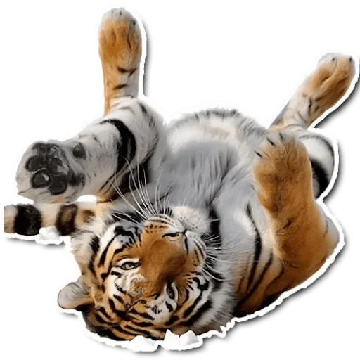 Эмодзи Tiger Tiger