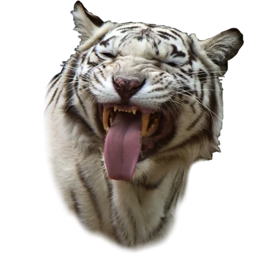 Эмодзи Tiger ❤