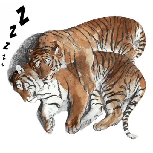 Эмодзи Tiger ❤