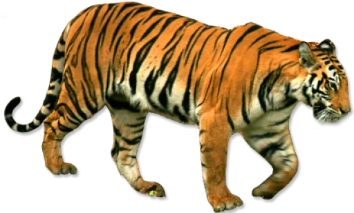 Эмодзи Тигр