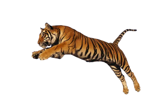 Эмодзи Тигр