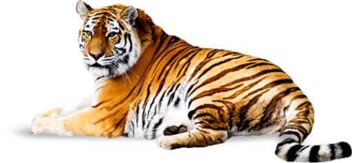 Эмодзи Тигр