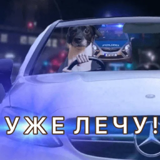 Эмодзи Timidi_Kopchik