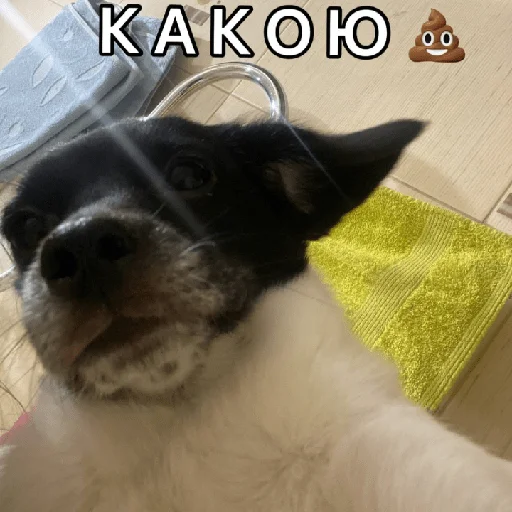 Эмодзи Timidi_Kopchik