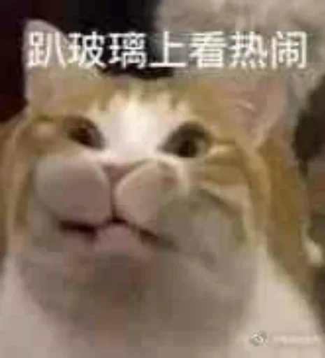 Эмодзи 猫四的表情包