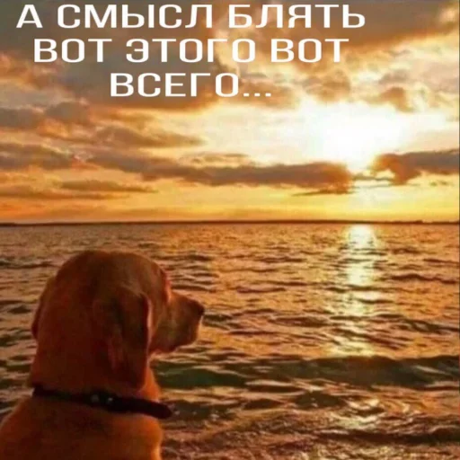 Эмодзи TomiokO4ka