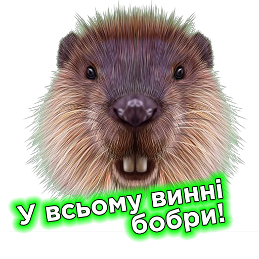 Эмодзи Телебачення Торонто