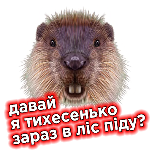 Эмодзи Телебачення Торонто
