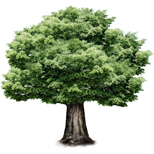 Эмодзи Trees Nature