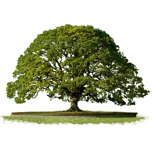 Эмодзи Trees Nature