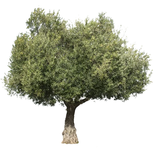 Эмодзи Trees Nature
