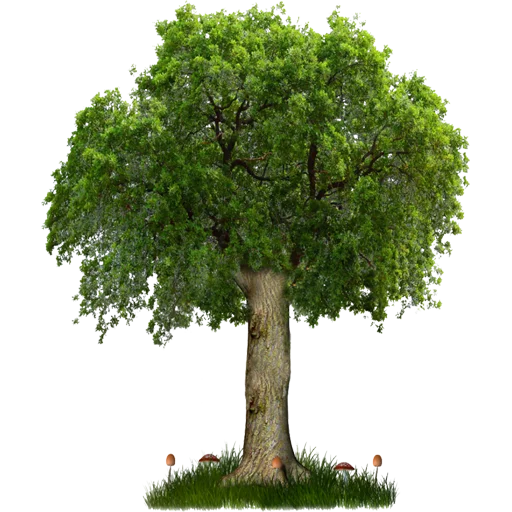 Эмодзи Trees Nature