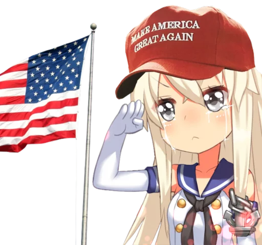 🇺🇸