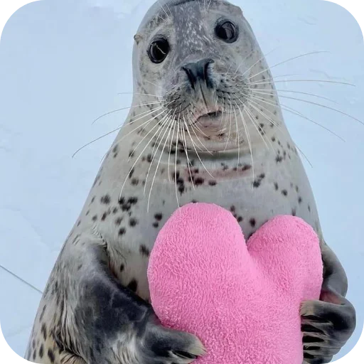 Эмодзи Тюленчик