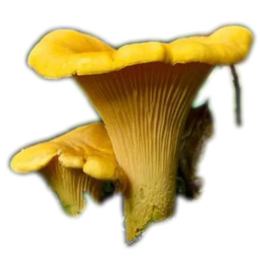 Эмодзи Food