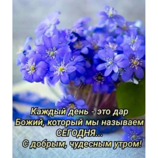 Эмодзи Ватсап Доброе утро