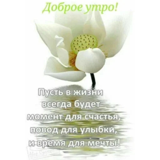Эмодзи Ватсап Доброе утро