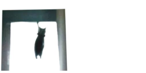 Эмодзи Мікро-Кішки