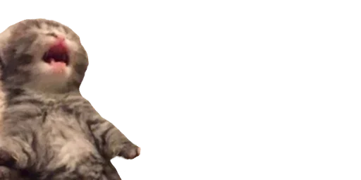 Эмодзи Мікро-Кішки