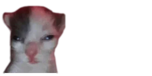 Эмодзи Мікро-Кішки