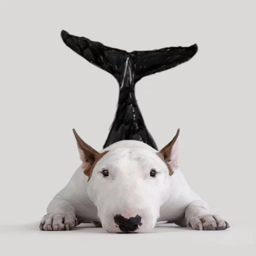 Эмодзи Uprt Animals