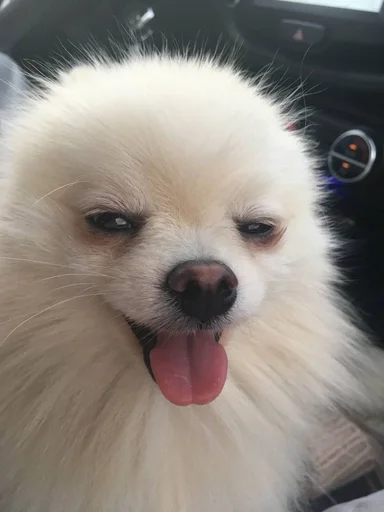 Эмодзи зоррик муд